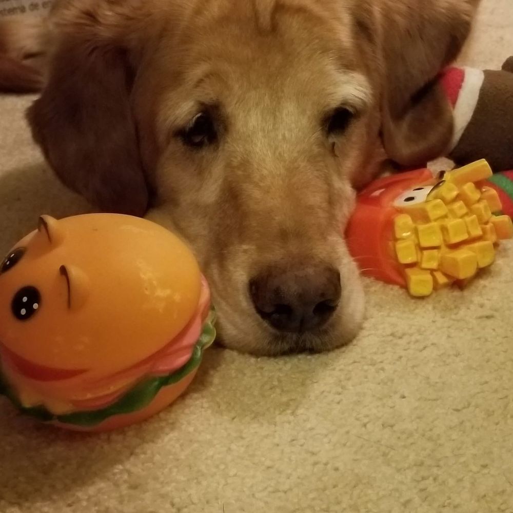 Meet your Posher, Nancy